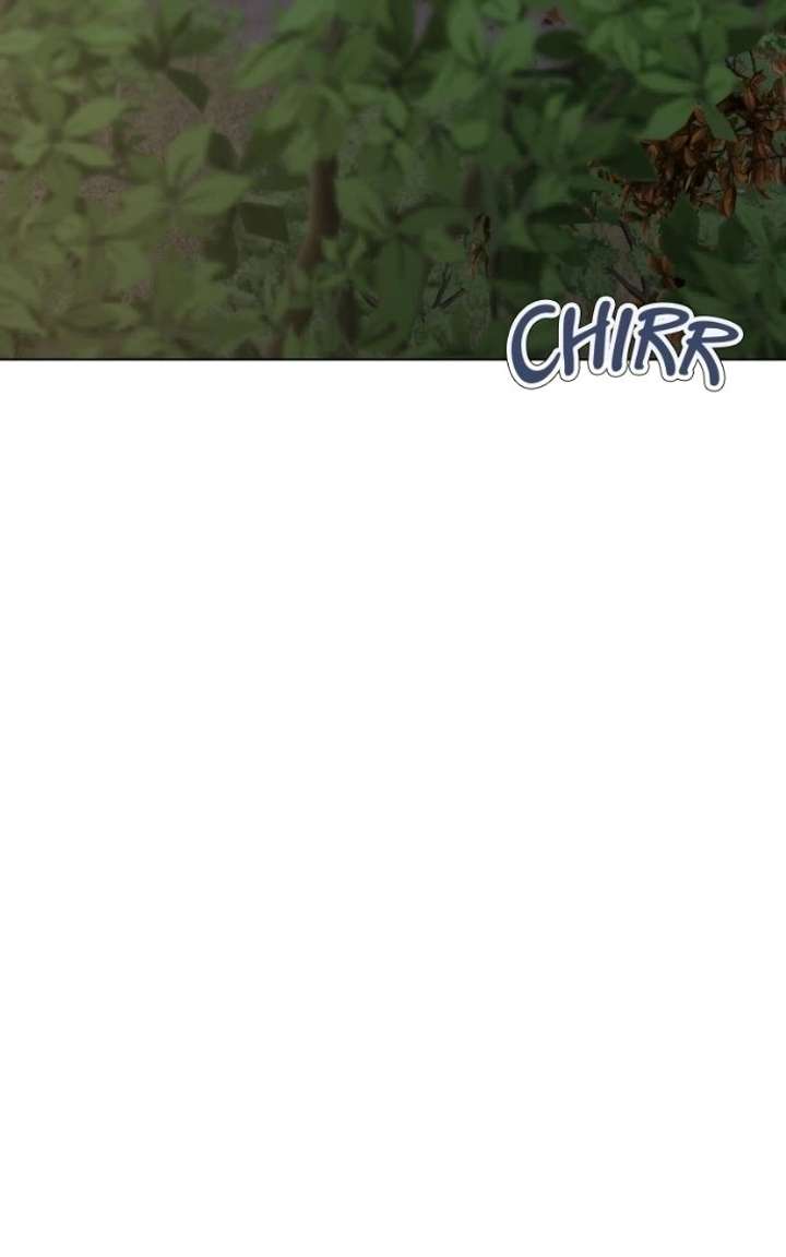 ch 8 87
