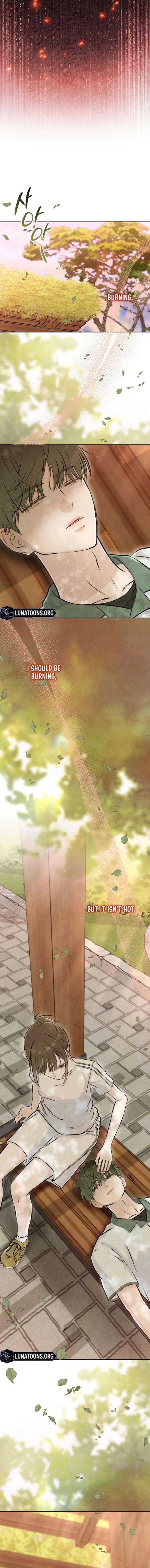 ch 34 8