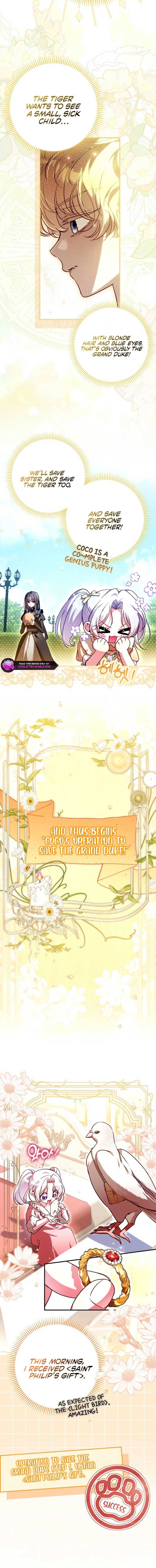 I’m the brave puppy that will save the villainess Chapter 20 60 1