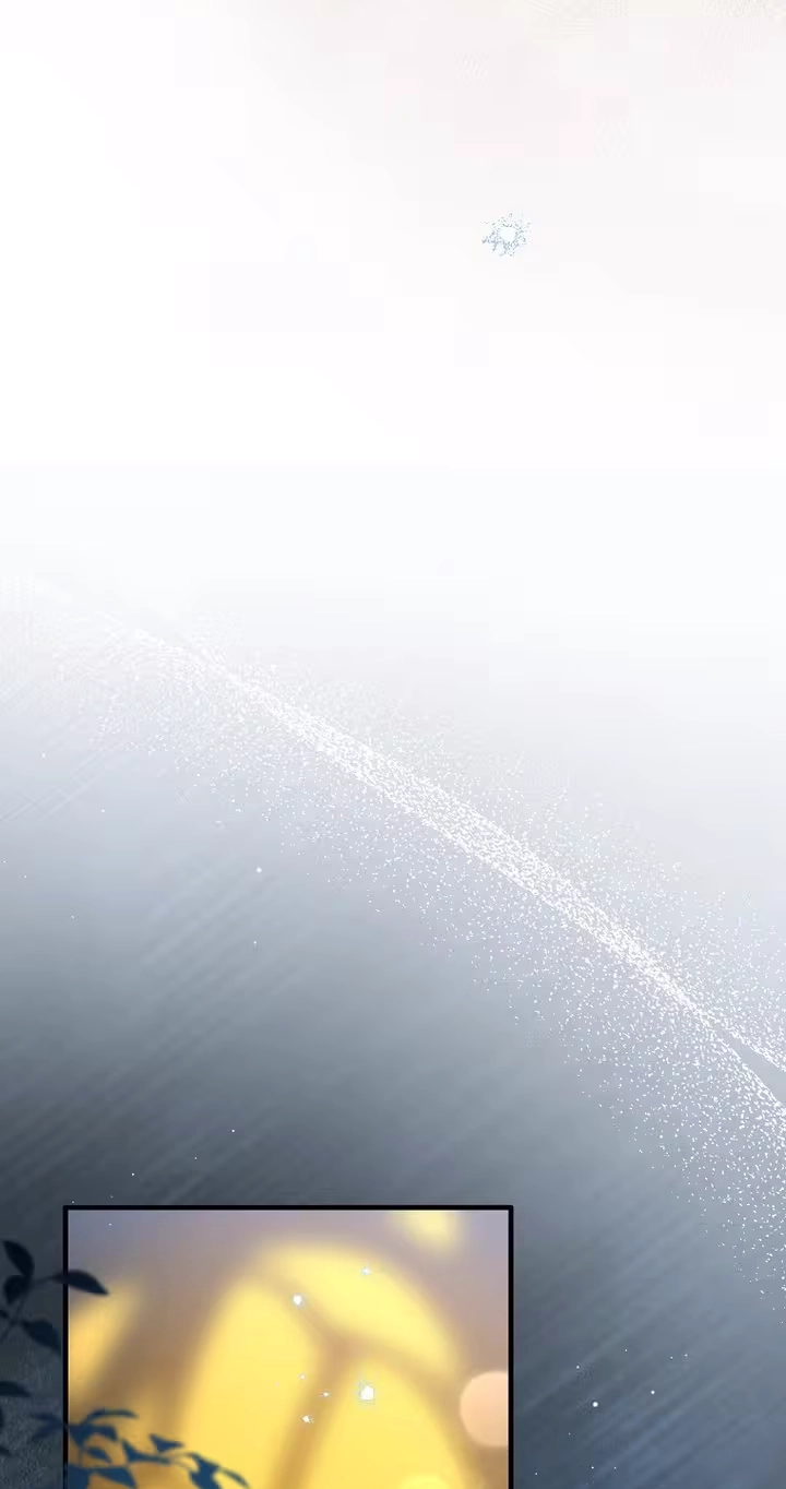 cb775080cf64