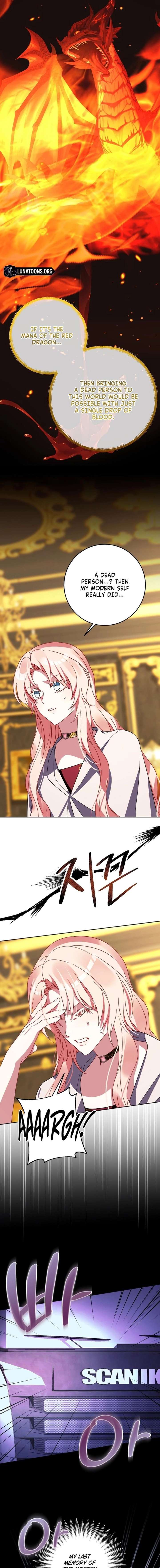 ch 41 3