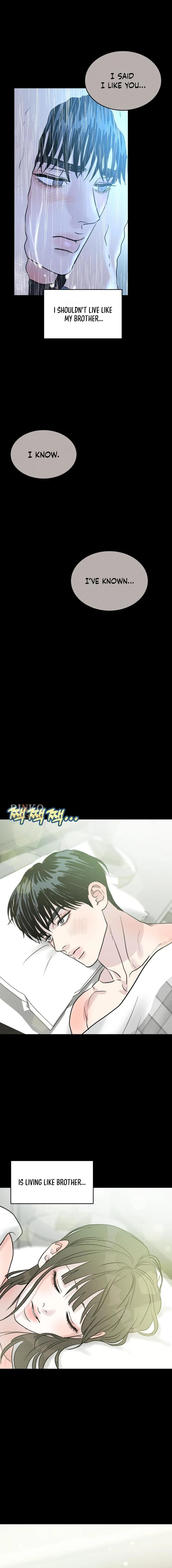 11 webp