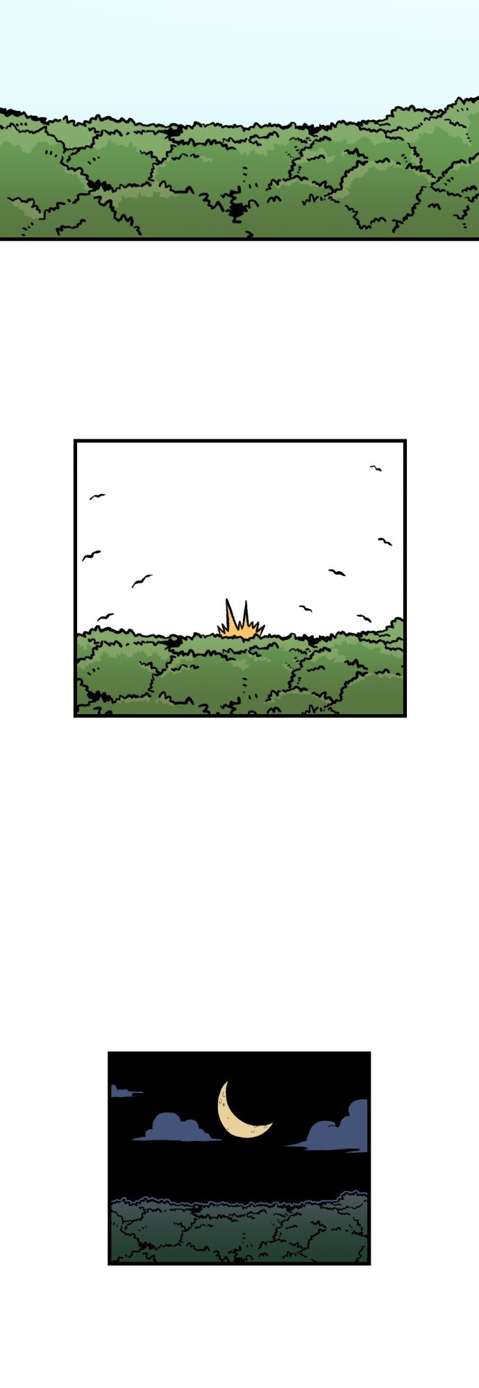 56 o