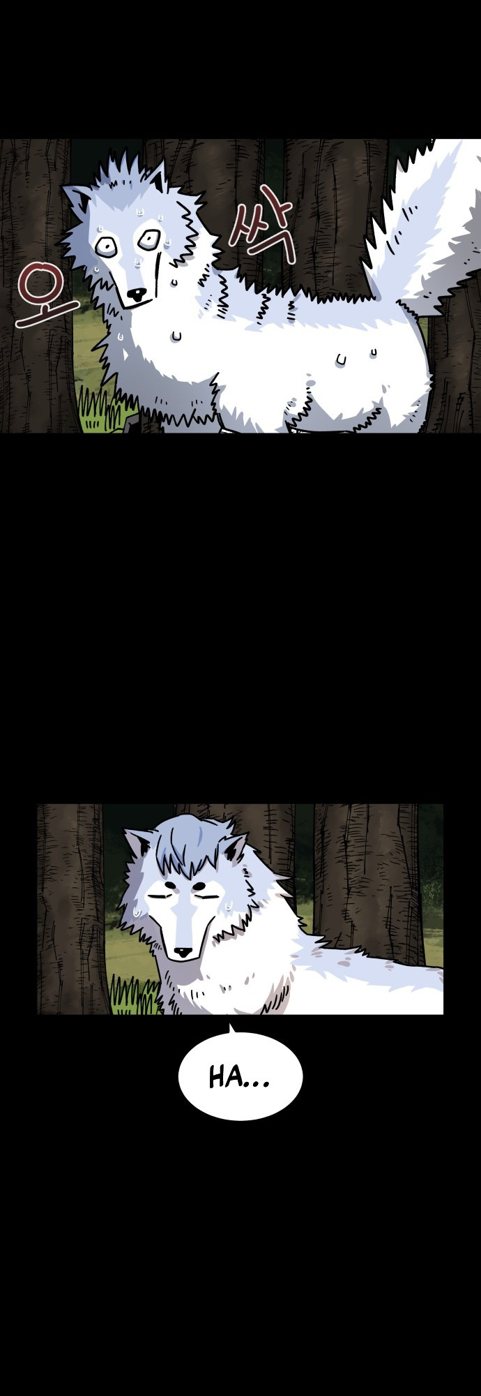 15 o
