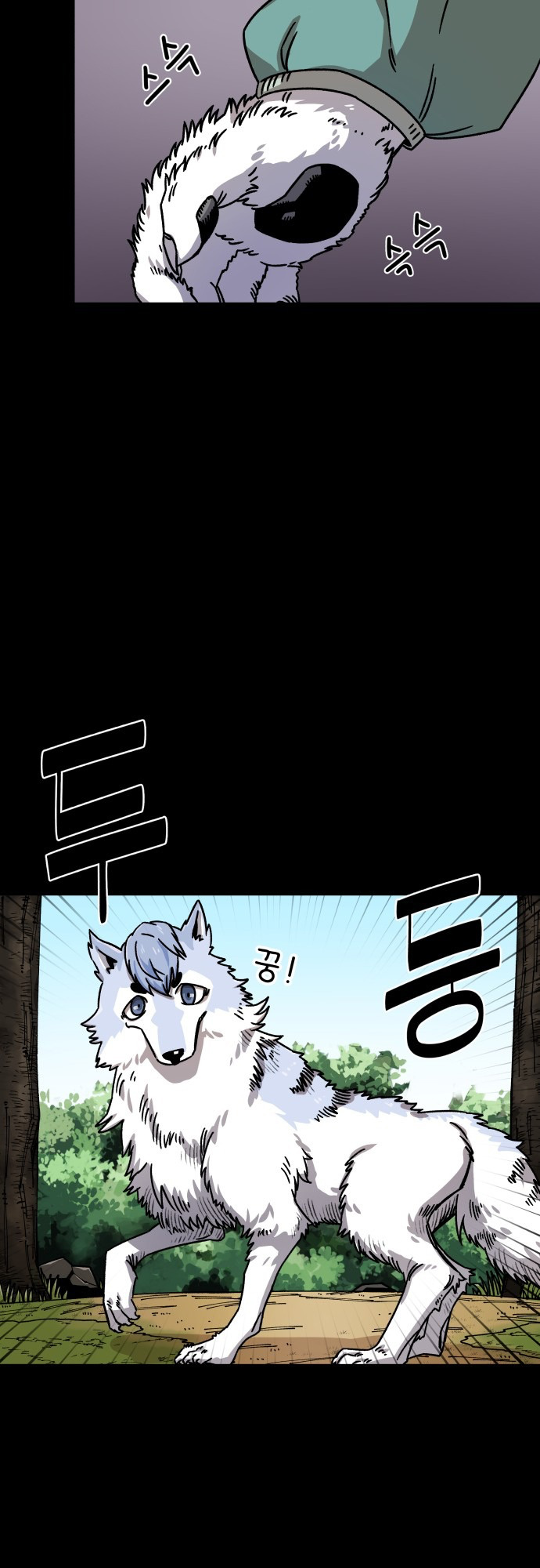 8 o