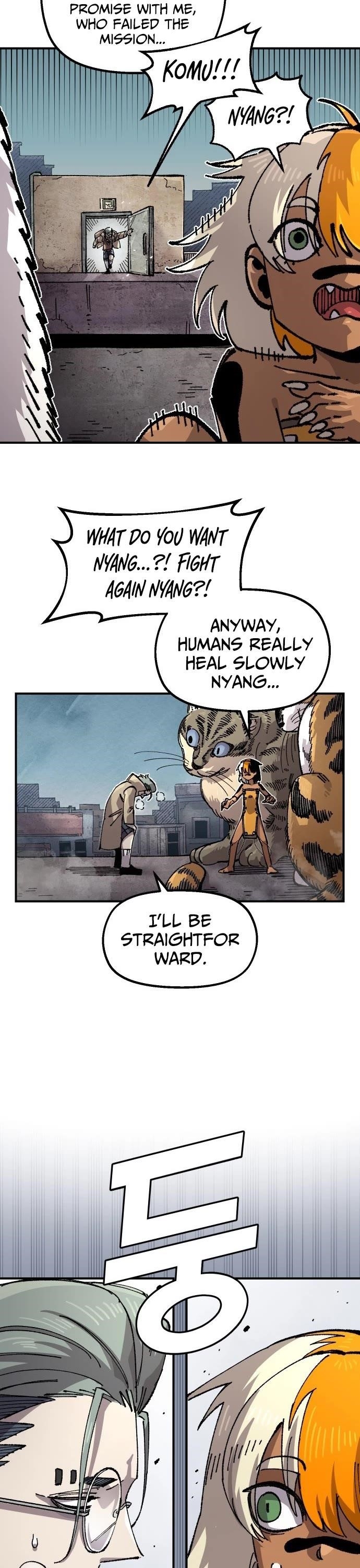 41