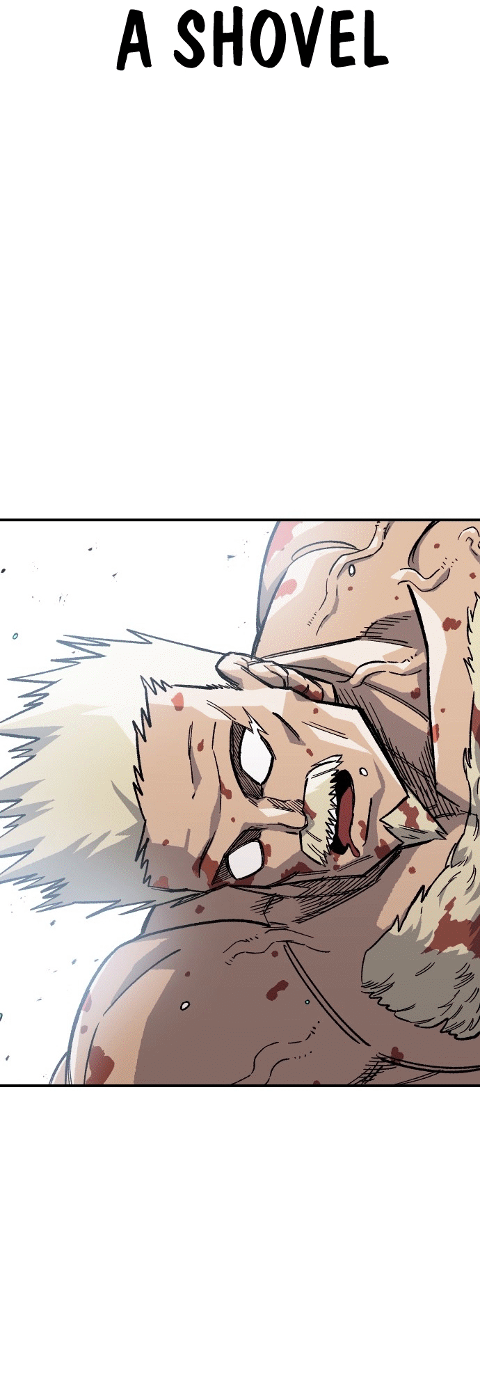 82 o