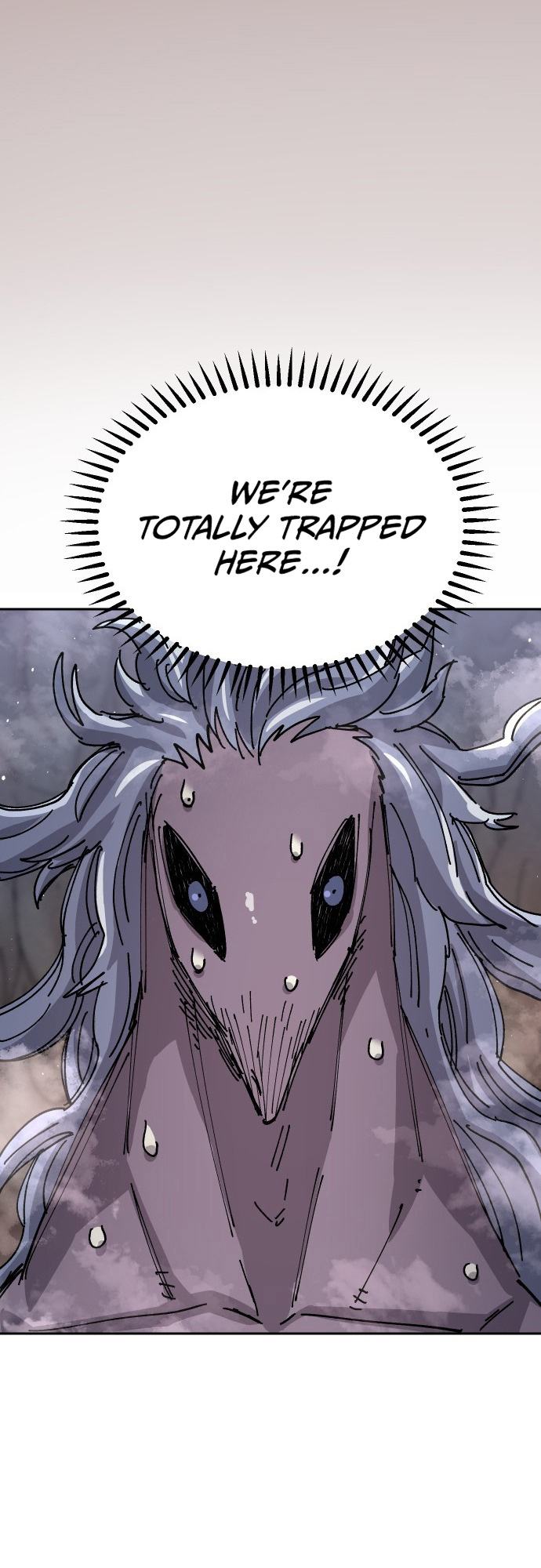 20 o