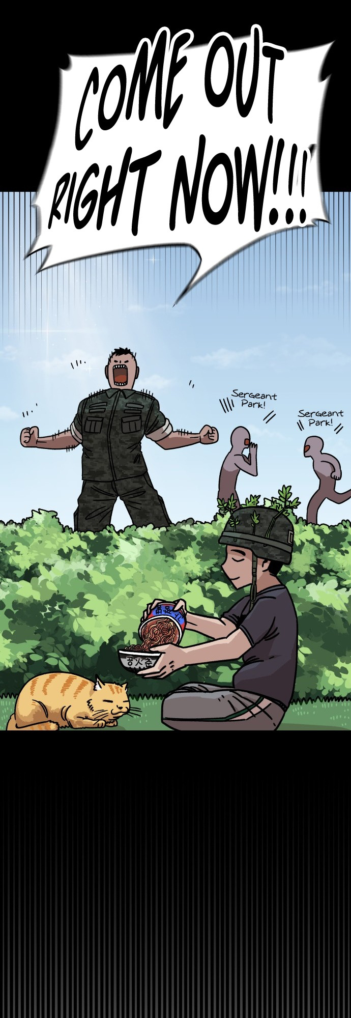66 o