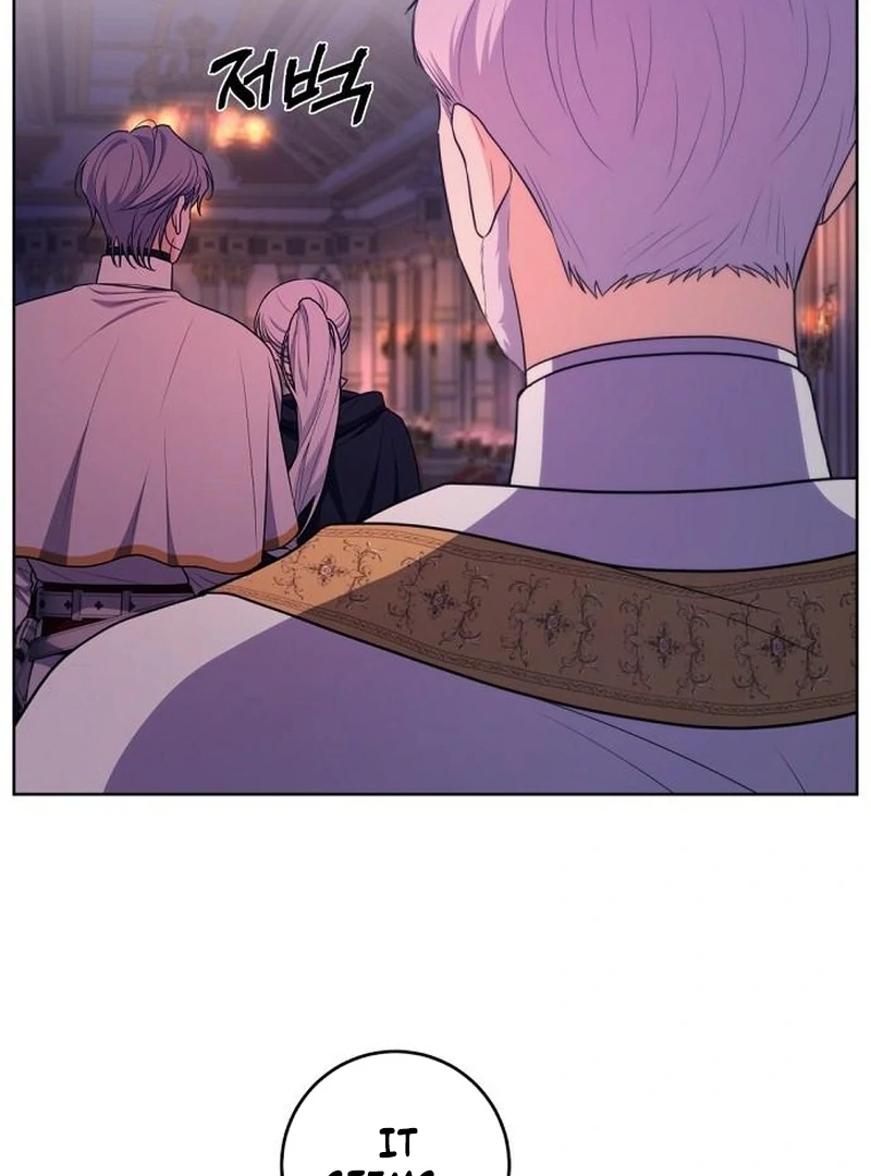 My Husband Married My Stepmother Chapter 27 455 106