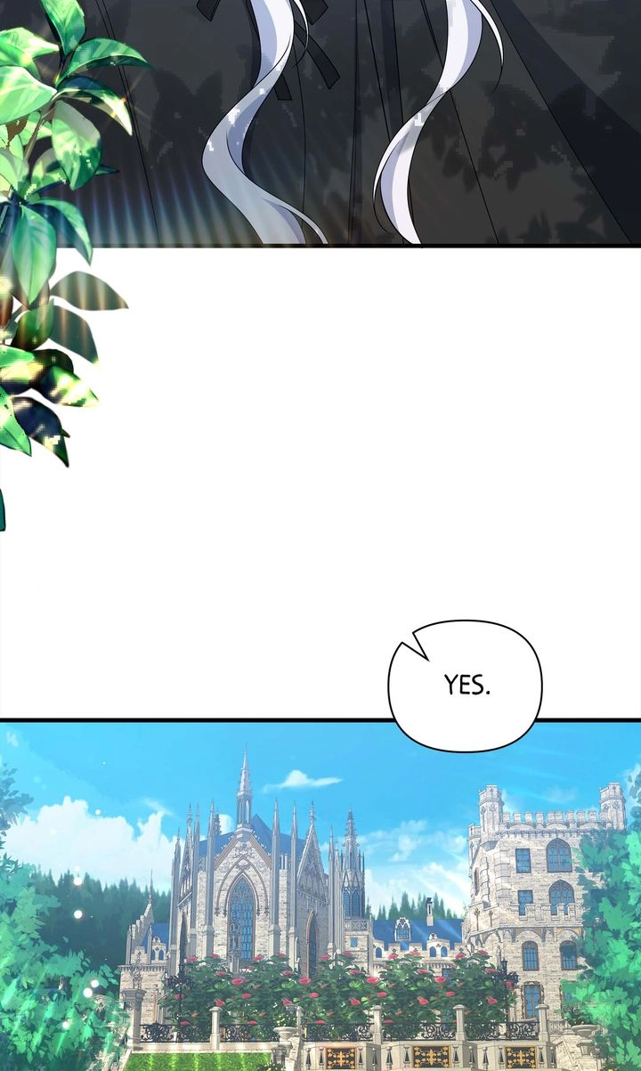 cf8a5ce11b51