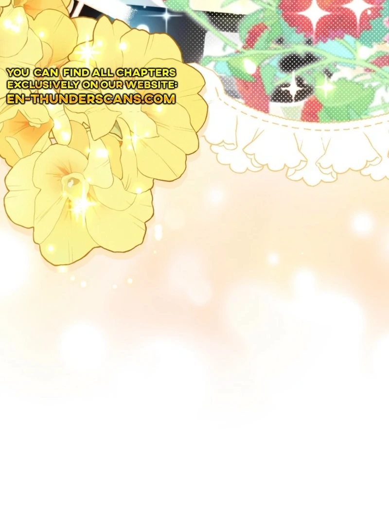 Face Genius, 0-Year-Old Top Star Chapter 11 366 017