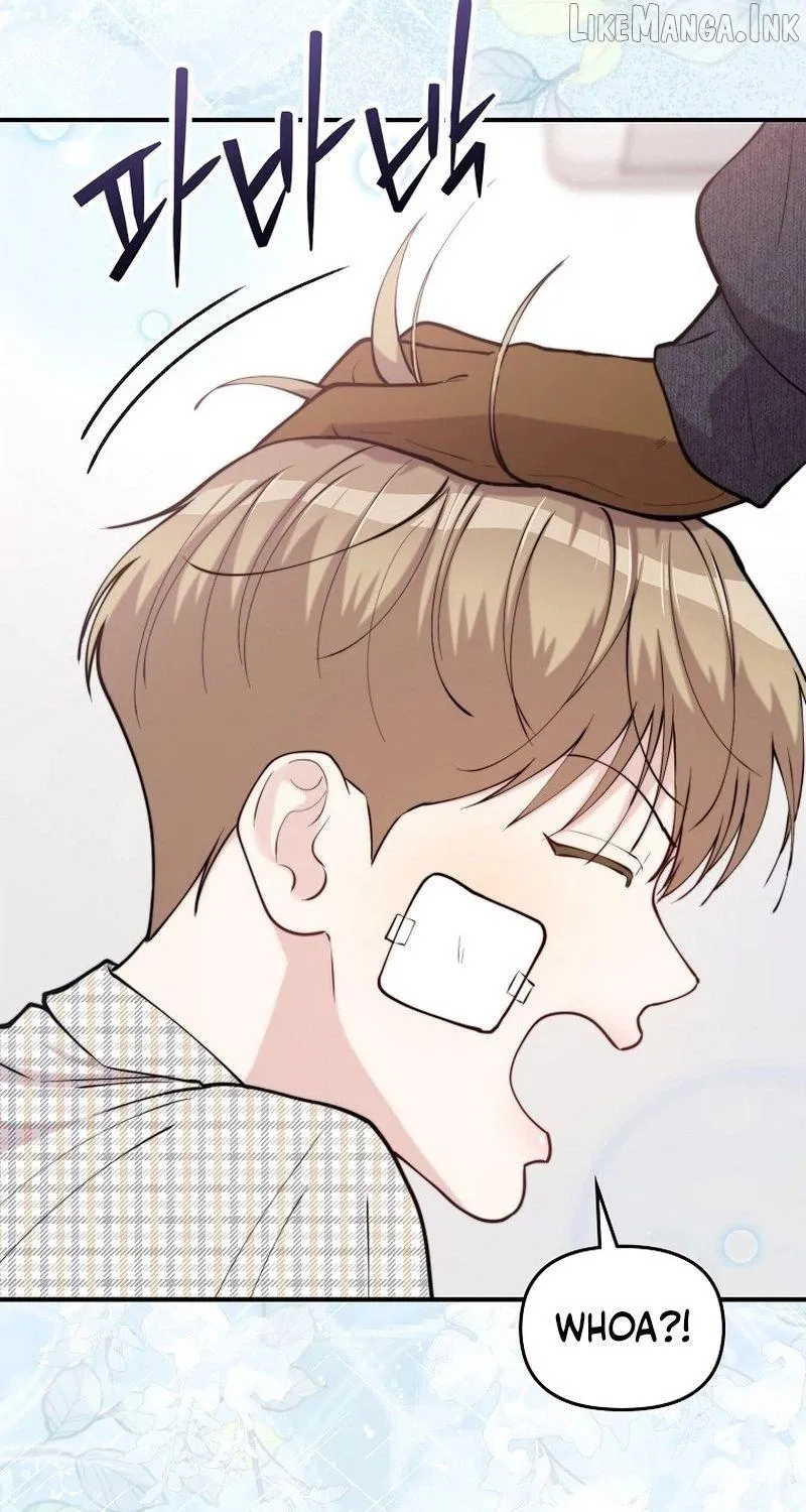 Face Genius, 0-Year-Old Top Star Chapter 74 550 0d1423987998