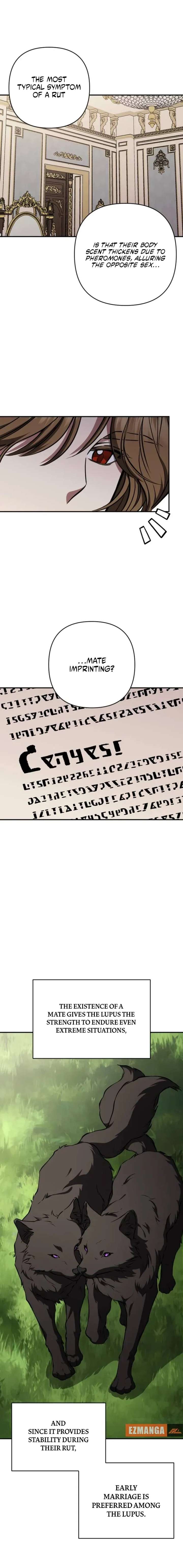 ch 31 15