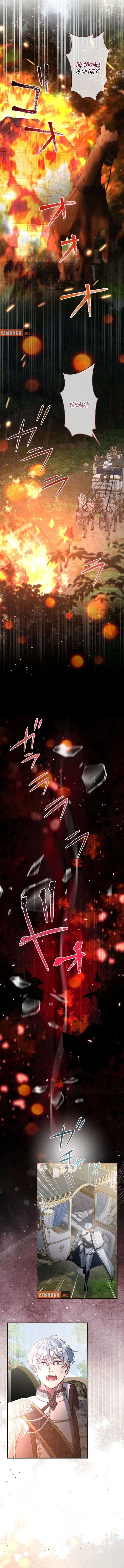 ch 39 2