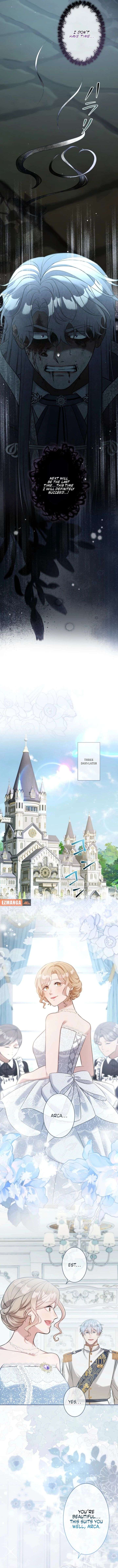 ch 39 7