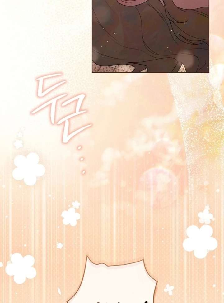 81