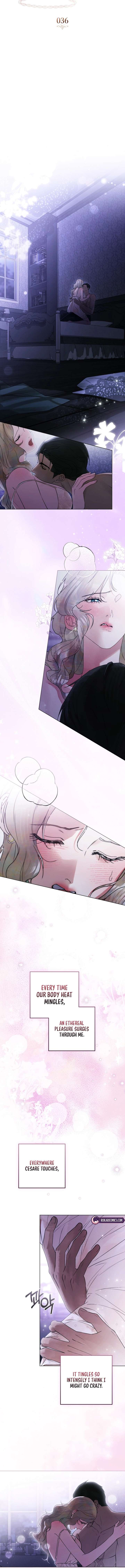 ch 36 3