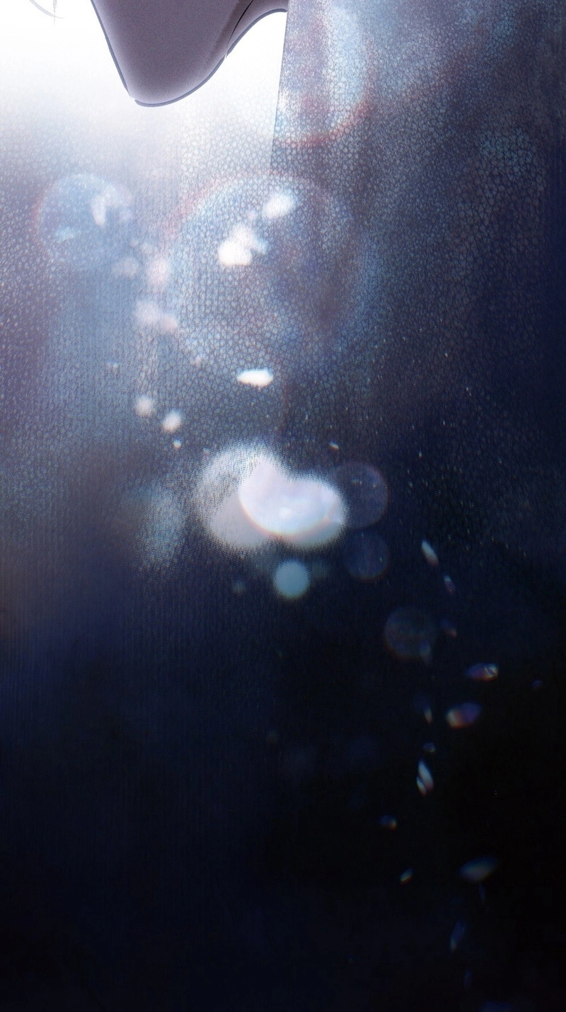 241e115df2a7