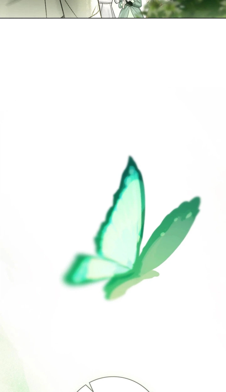 006b87eccdb5