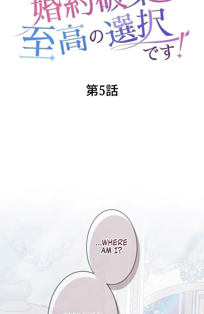 Breaking Off the Engagement is the Supreme Choice Chapter 5 524 031