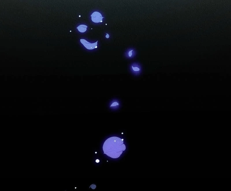 049