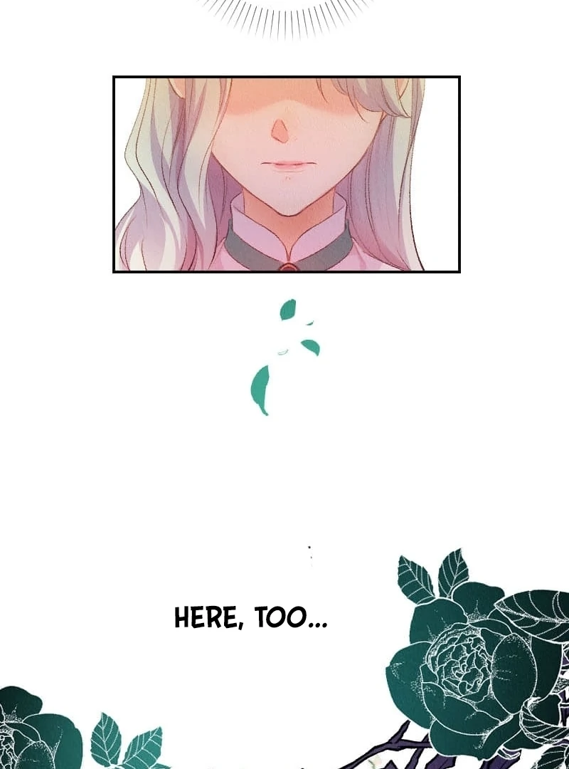 146
