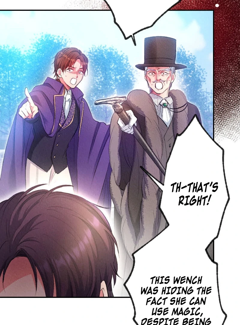 The Neglected Noble Lady Became the Beloved Caretaker of the Imperial Family Chapter 5 396 047