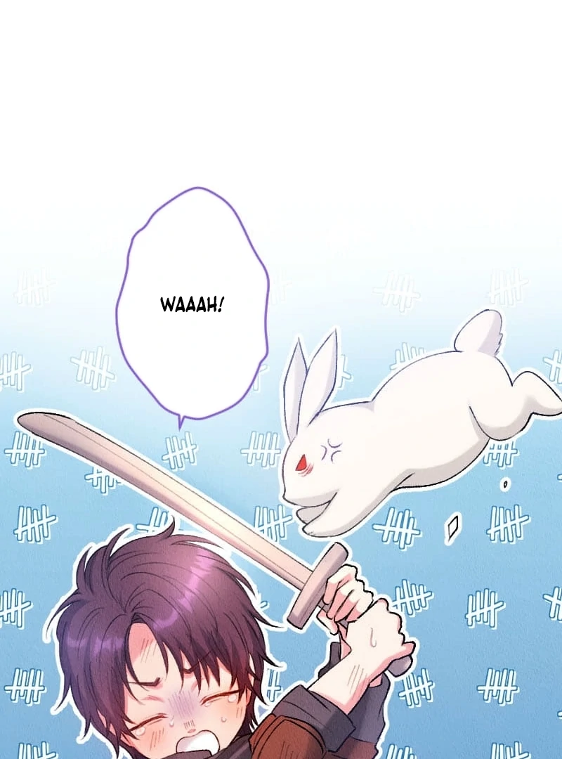 66
