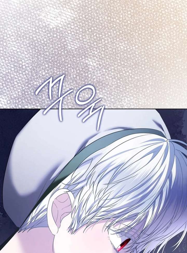 The Terminally Ill Miss Goes Undercover in the Villain’s Household Chapter 28 508 063