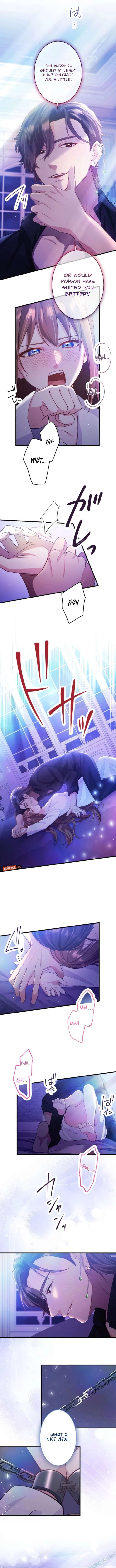 ch 26 7
