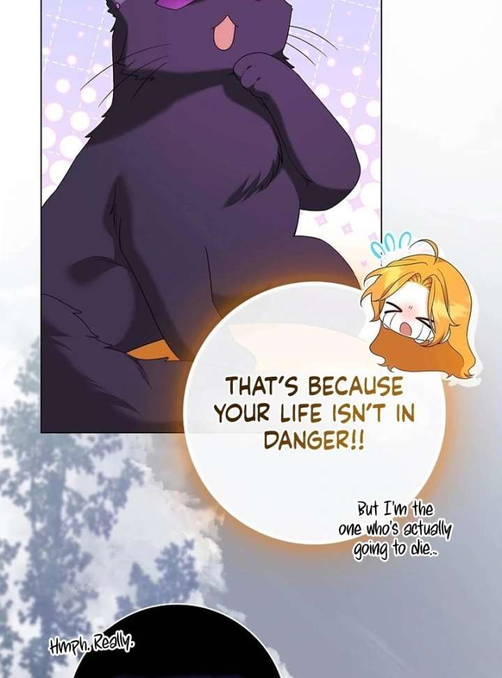 041
