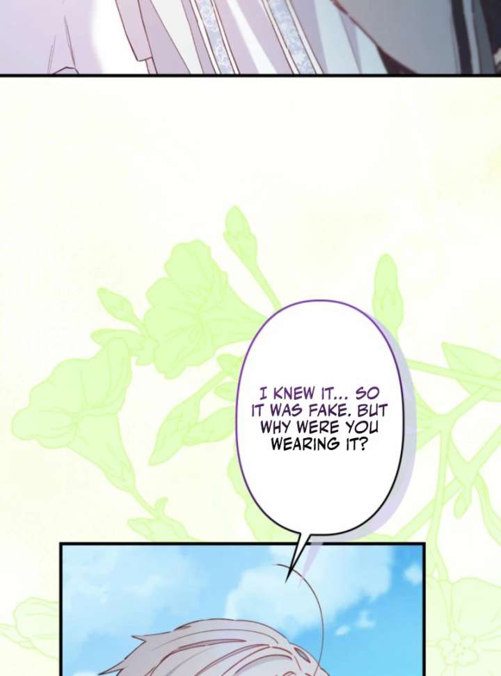 I Will Not be Overshadowed by my Twin Sister in This Life Chapter 20 493 090