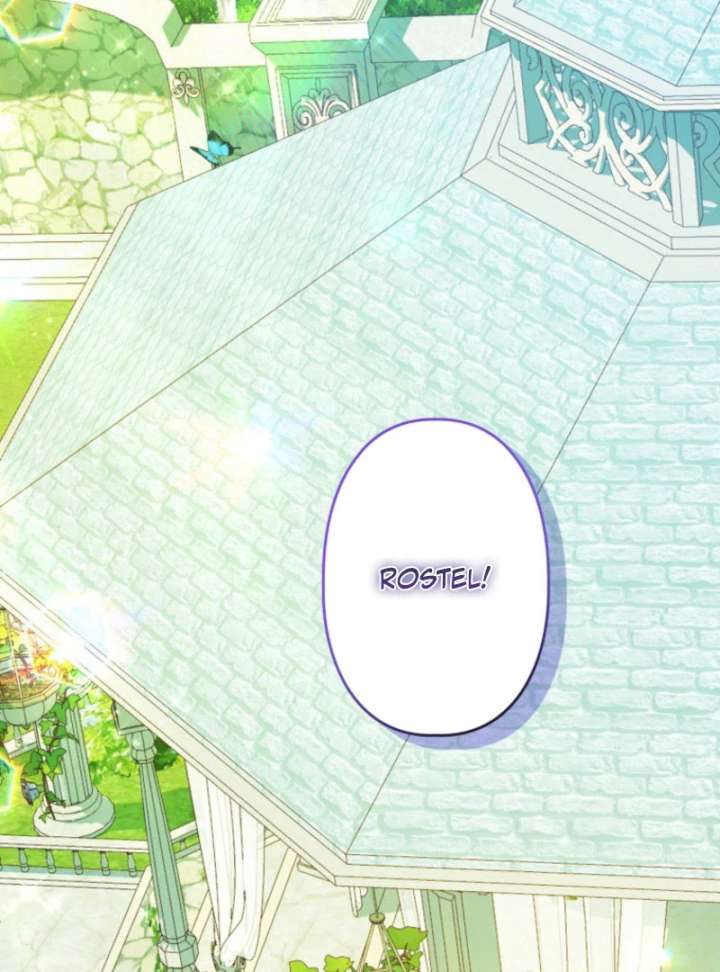 I Will Not be Overshadowed by my Twin Sister in This Life Chapter 26 527 106
