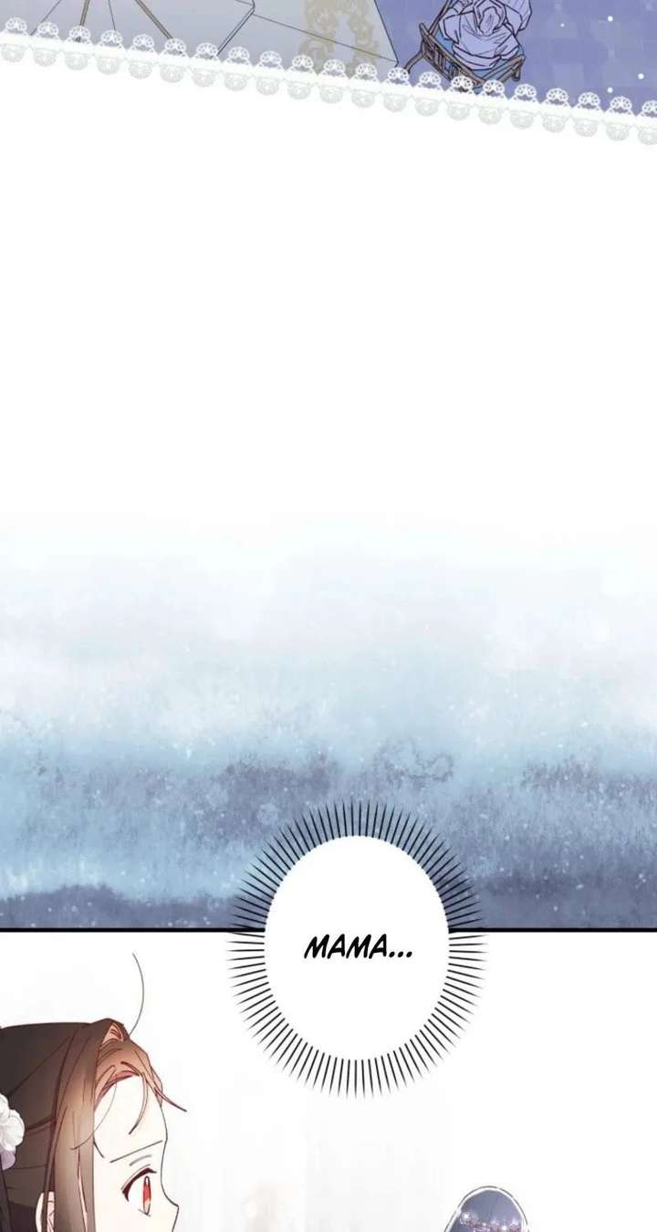 ch 48 28