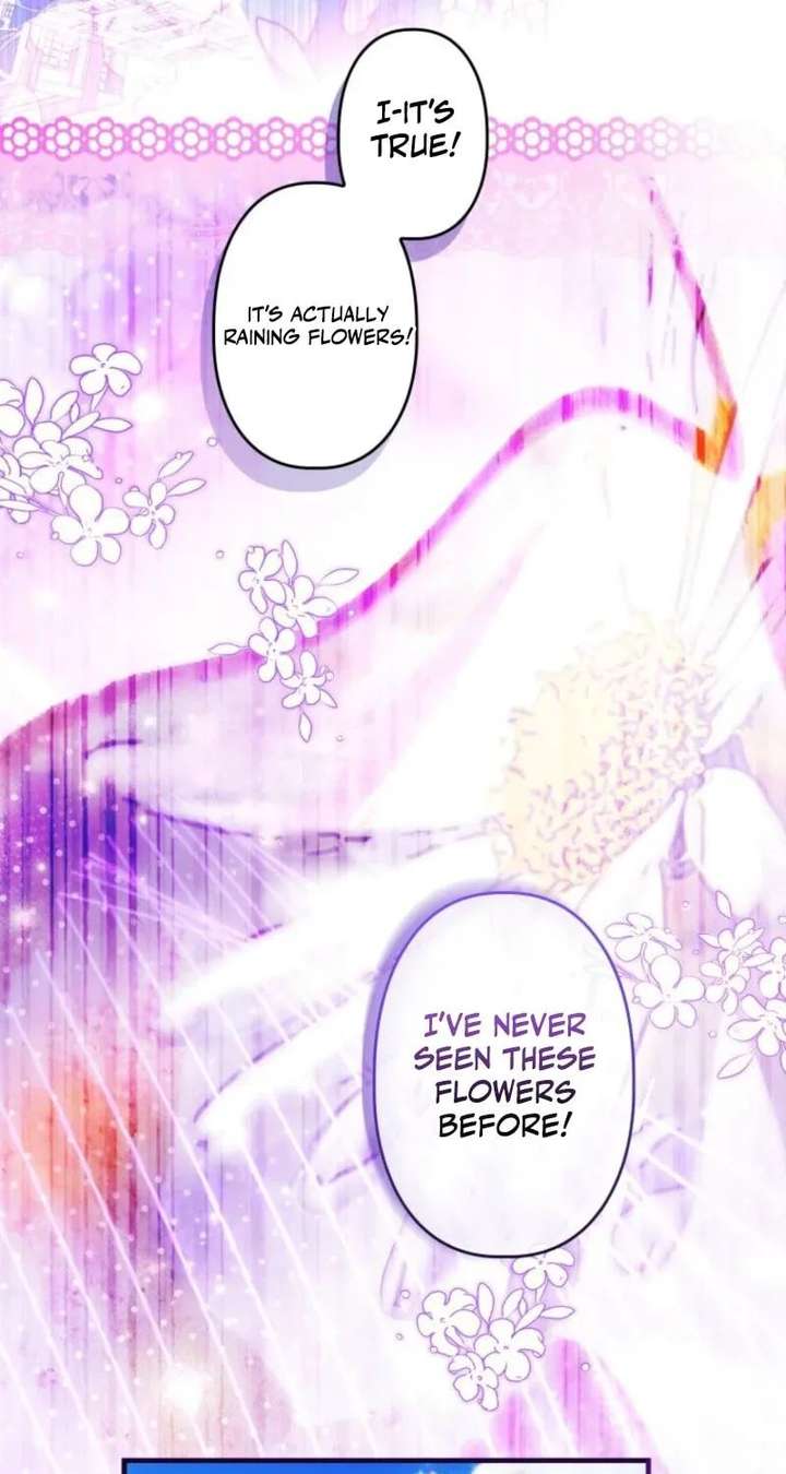ch 48 45