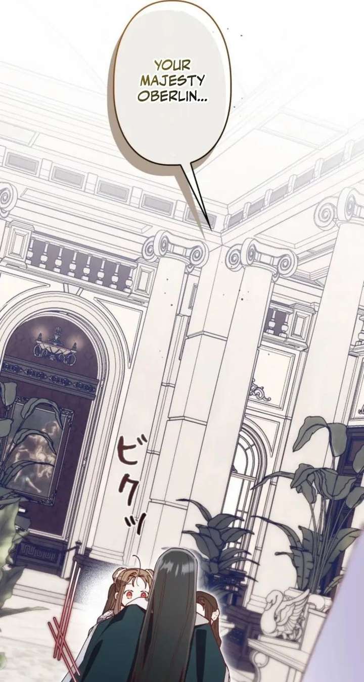 ch 48 92
