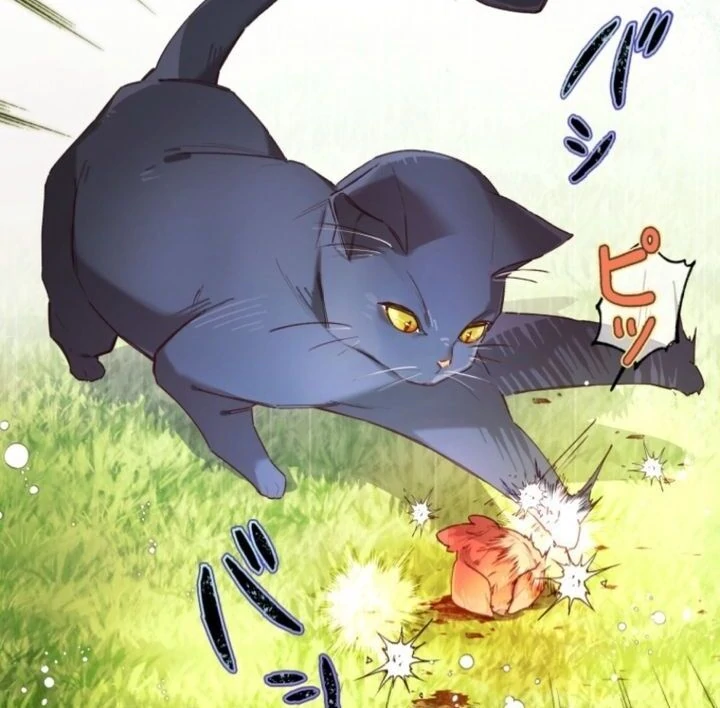 119