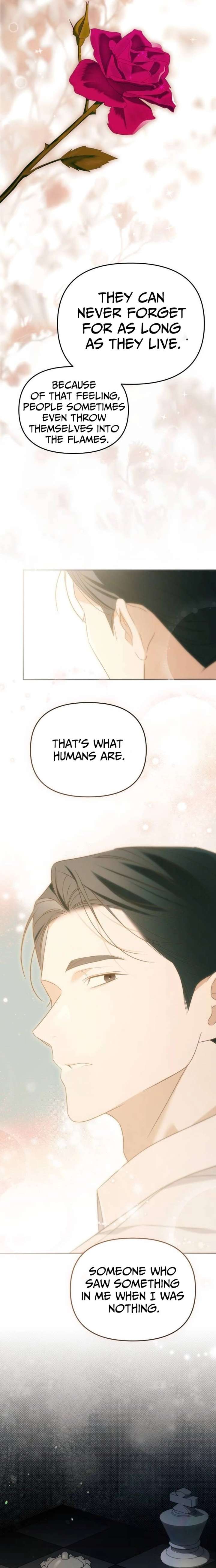 ch 36 11