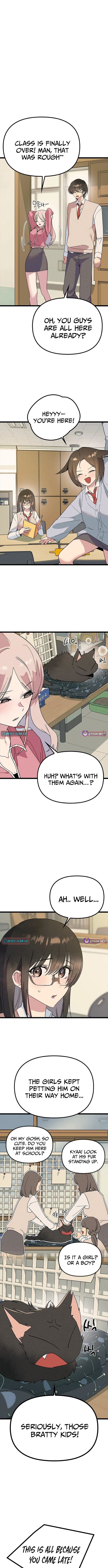 ch 34 8