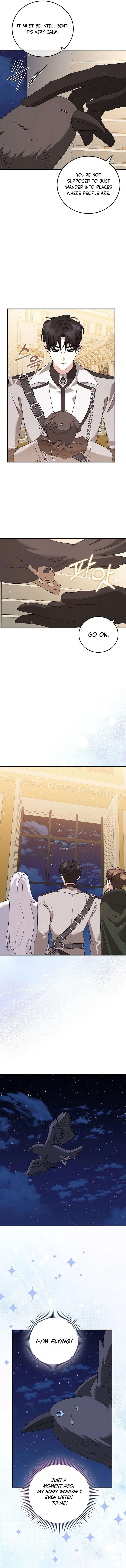 ch 32 5