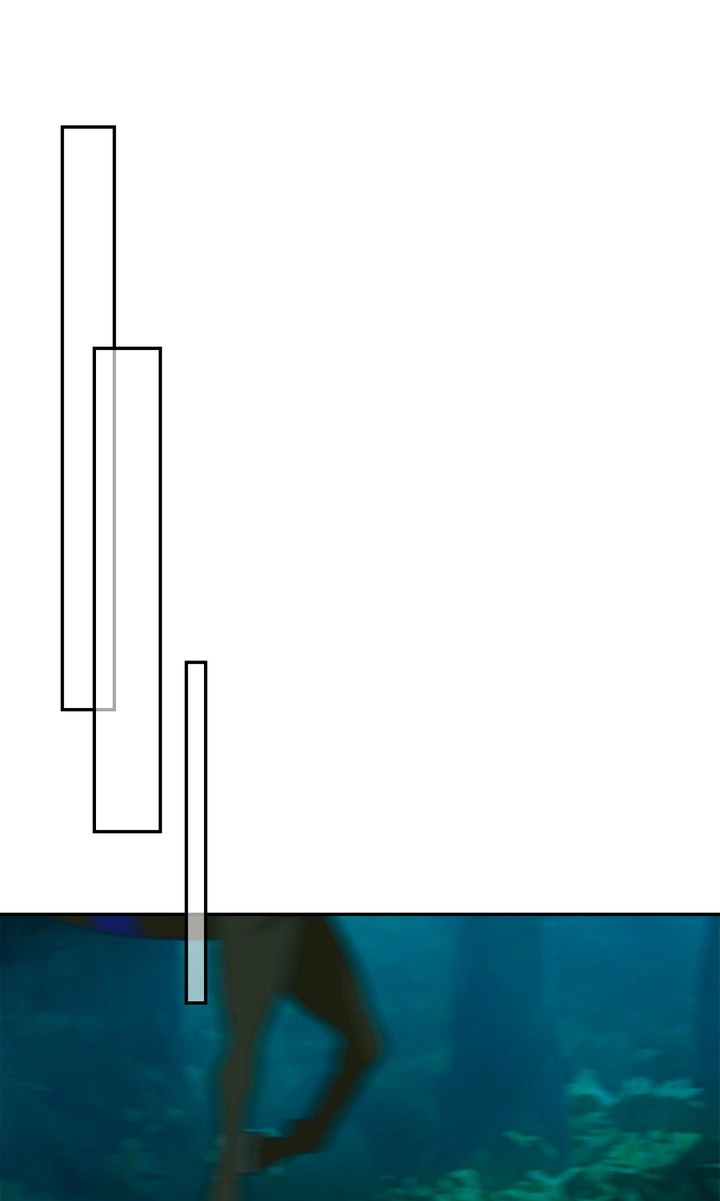4c67fe5bc1e8