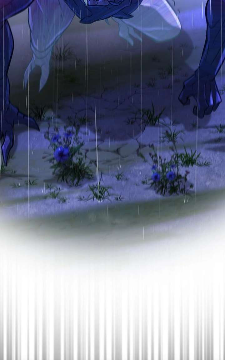 ch 31 113