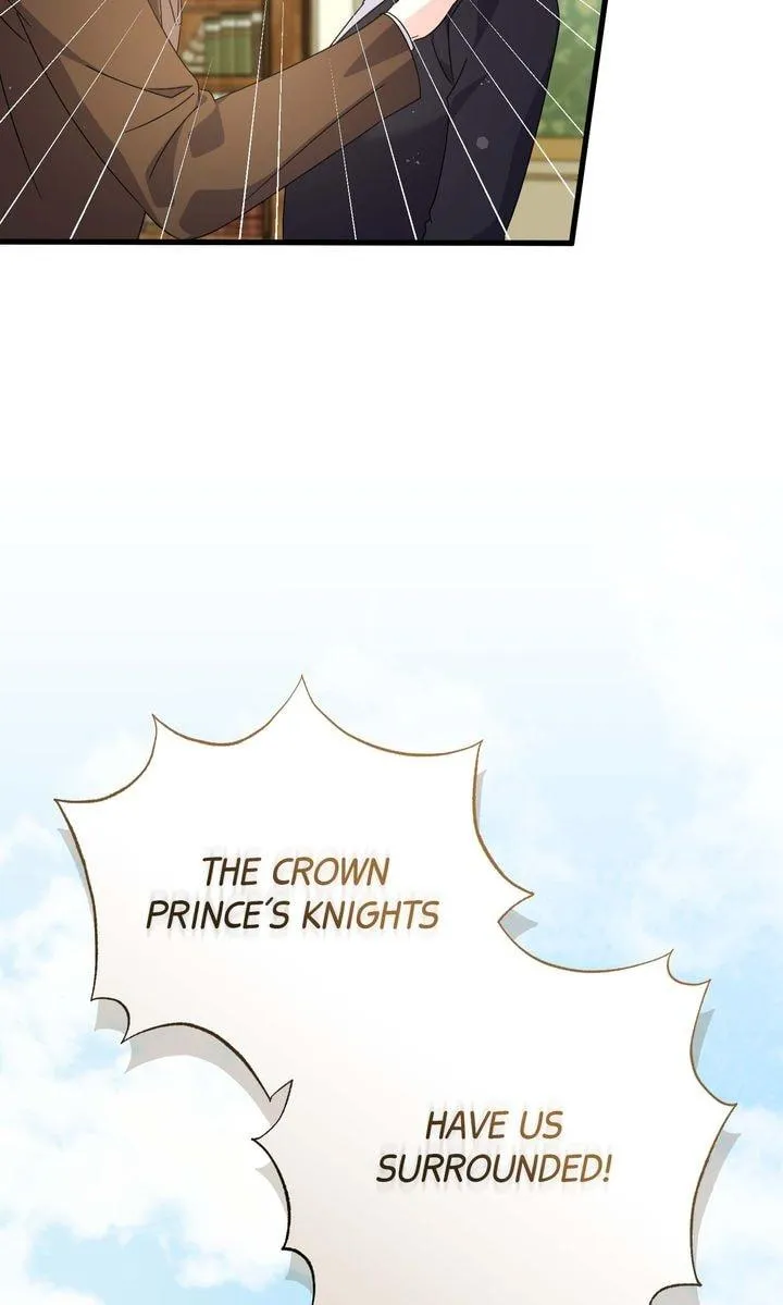 Your Highness, This Is Just a Novel Chapter 29 249 405090c3229d