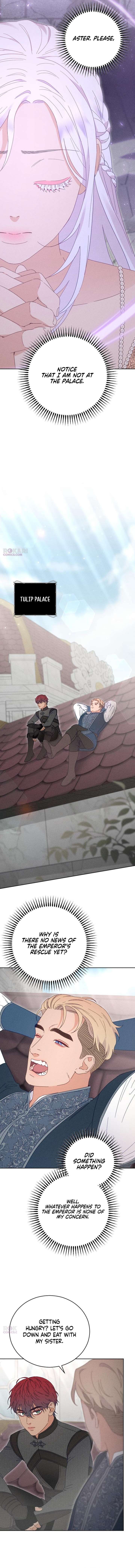 ch 27 12