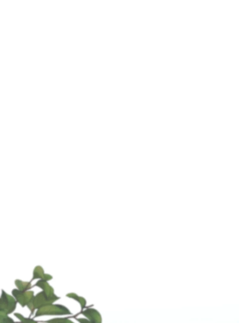 How to be Doted Again by the Cold-Hearted Grand Duke Chapter 10 408 053