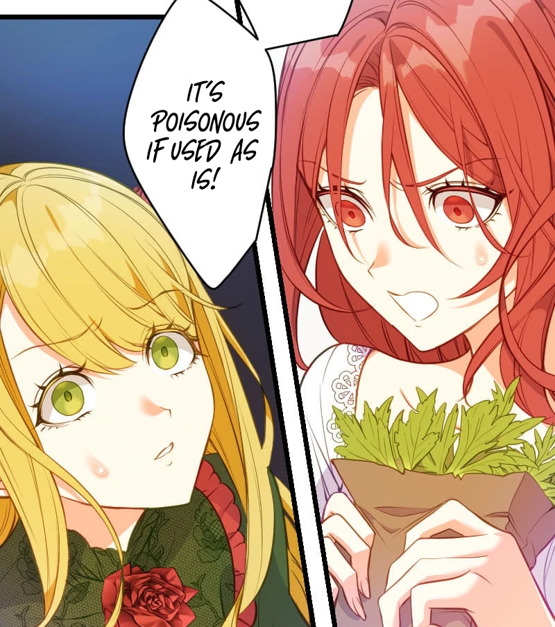 How to be Doted Again by the Cold-Hearted Grand Duke Chapter 11 414 077