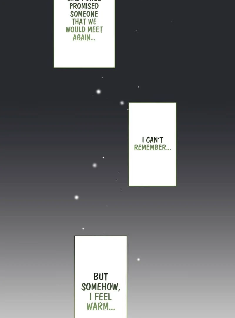 How to be Doted Again by the Cold-Hearted Grand Duke Chapter 6 327 020