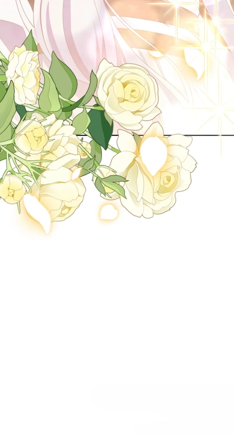 335d7ea9d845