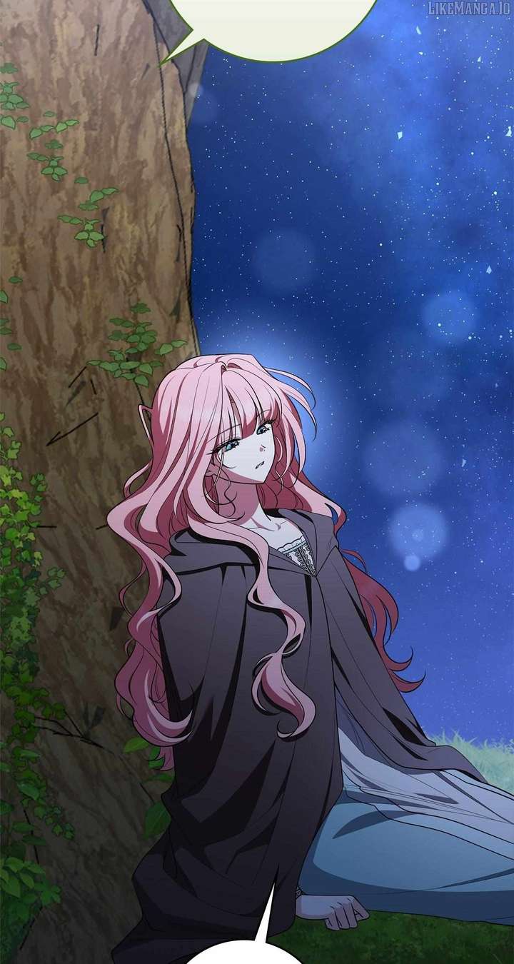 The Beloved Gardener of the World Tree Chapter 14 408 074